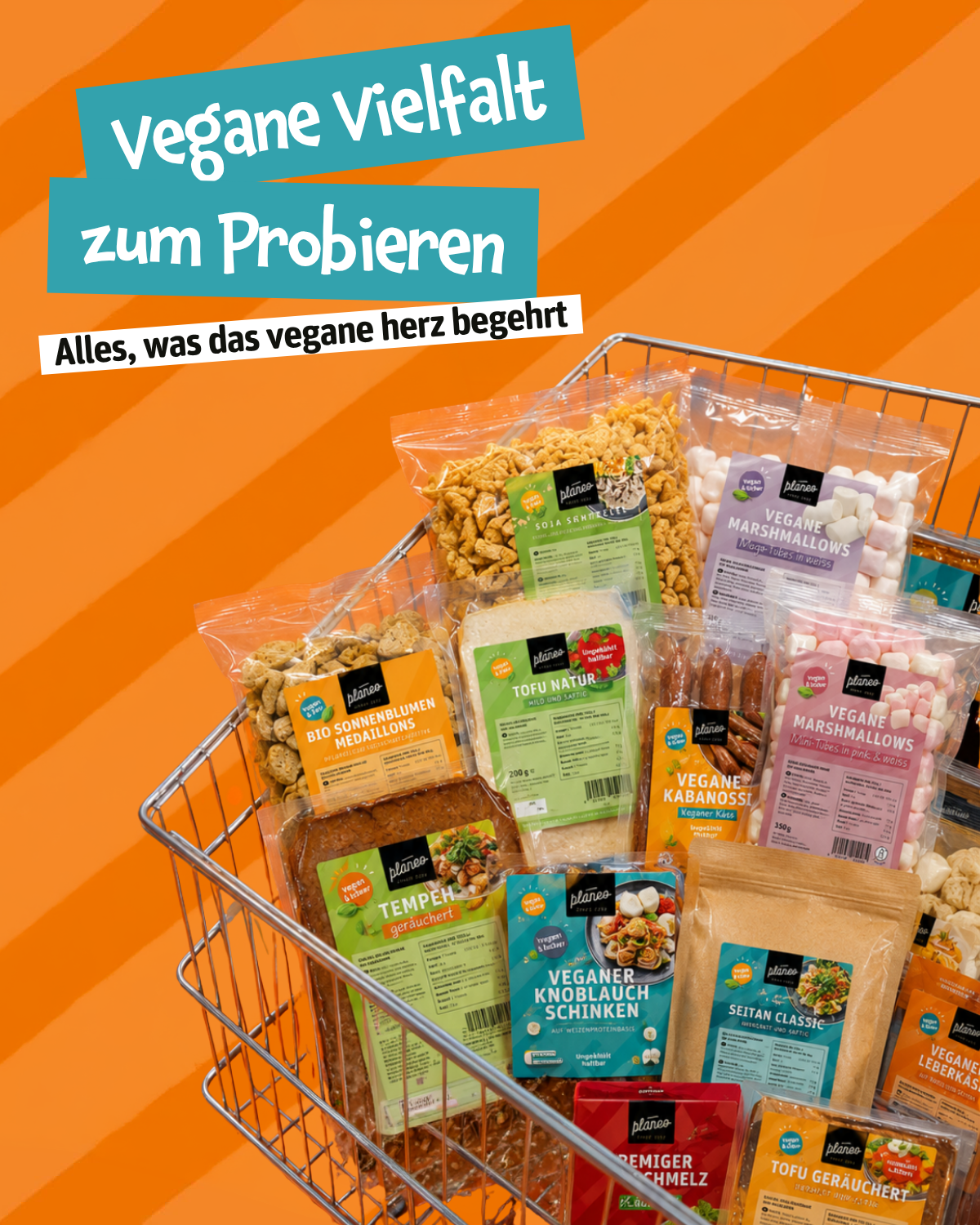 Einstiegs-Bundle - Basic