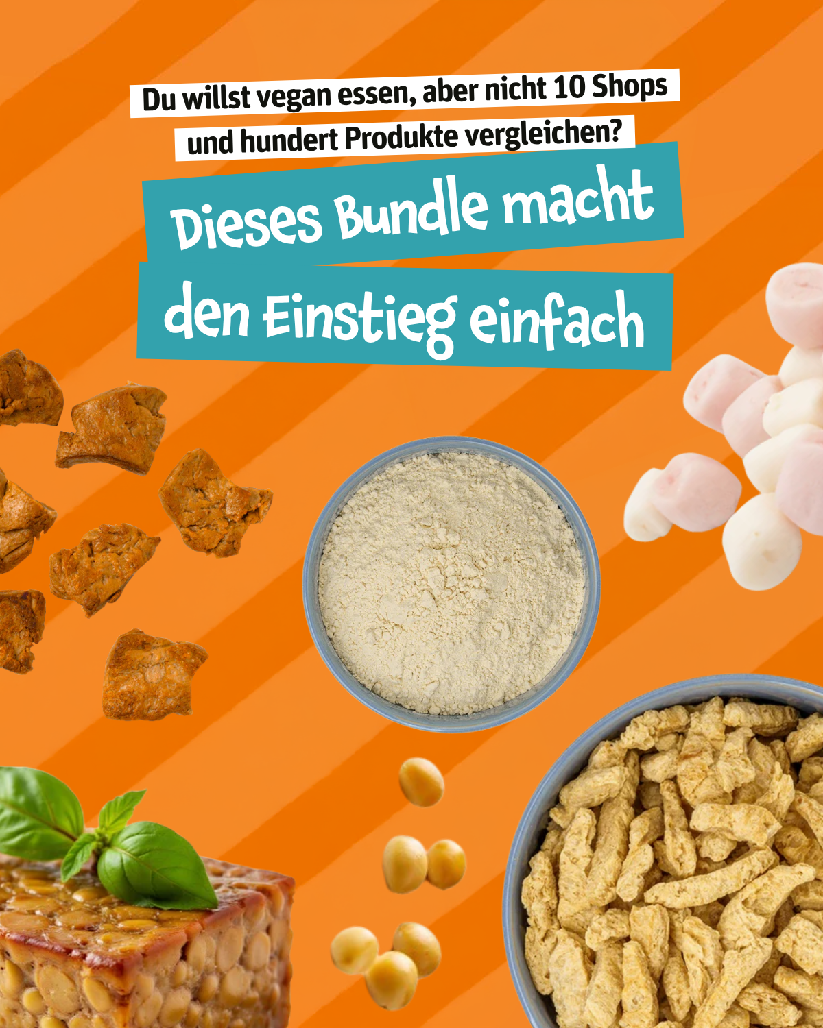 Einstiegs-Bundle - Basic